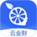 柠檬云业财