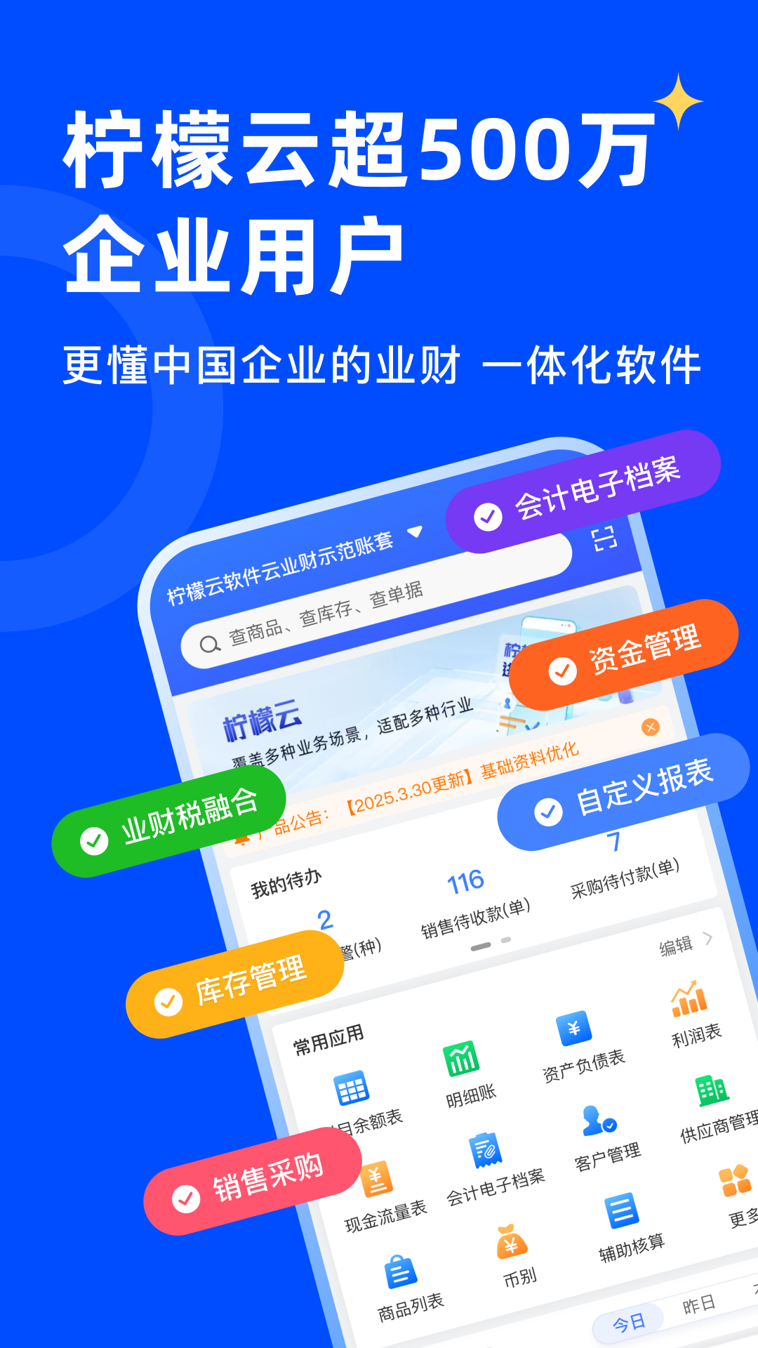 柠檬云业财电脑版截图