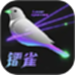 日光印象创意激光