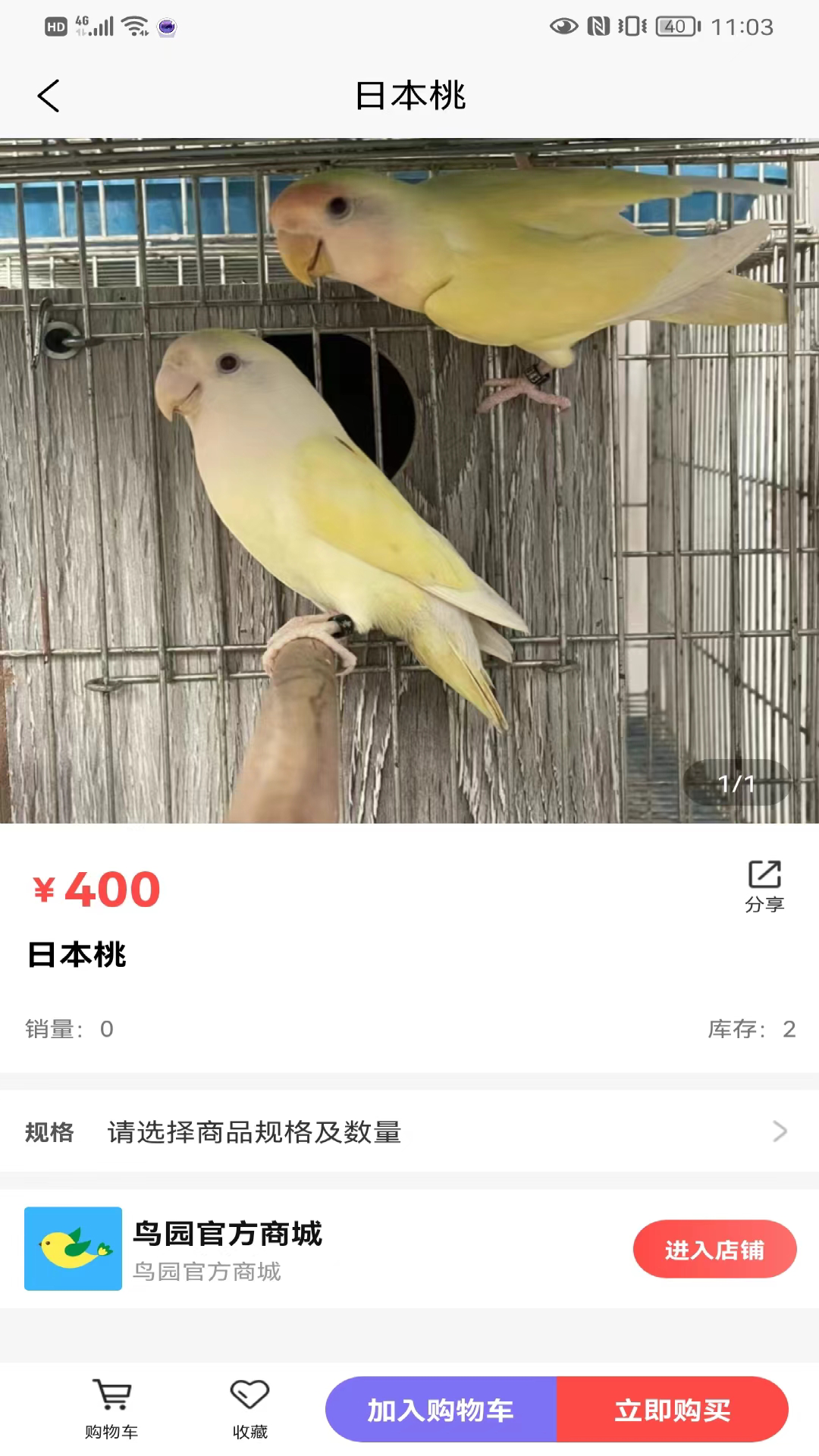 鸟园