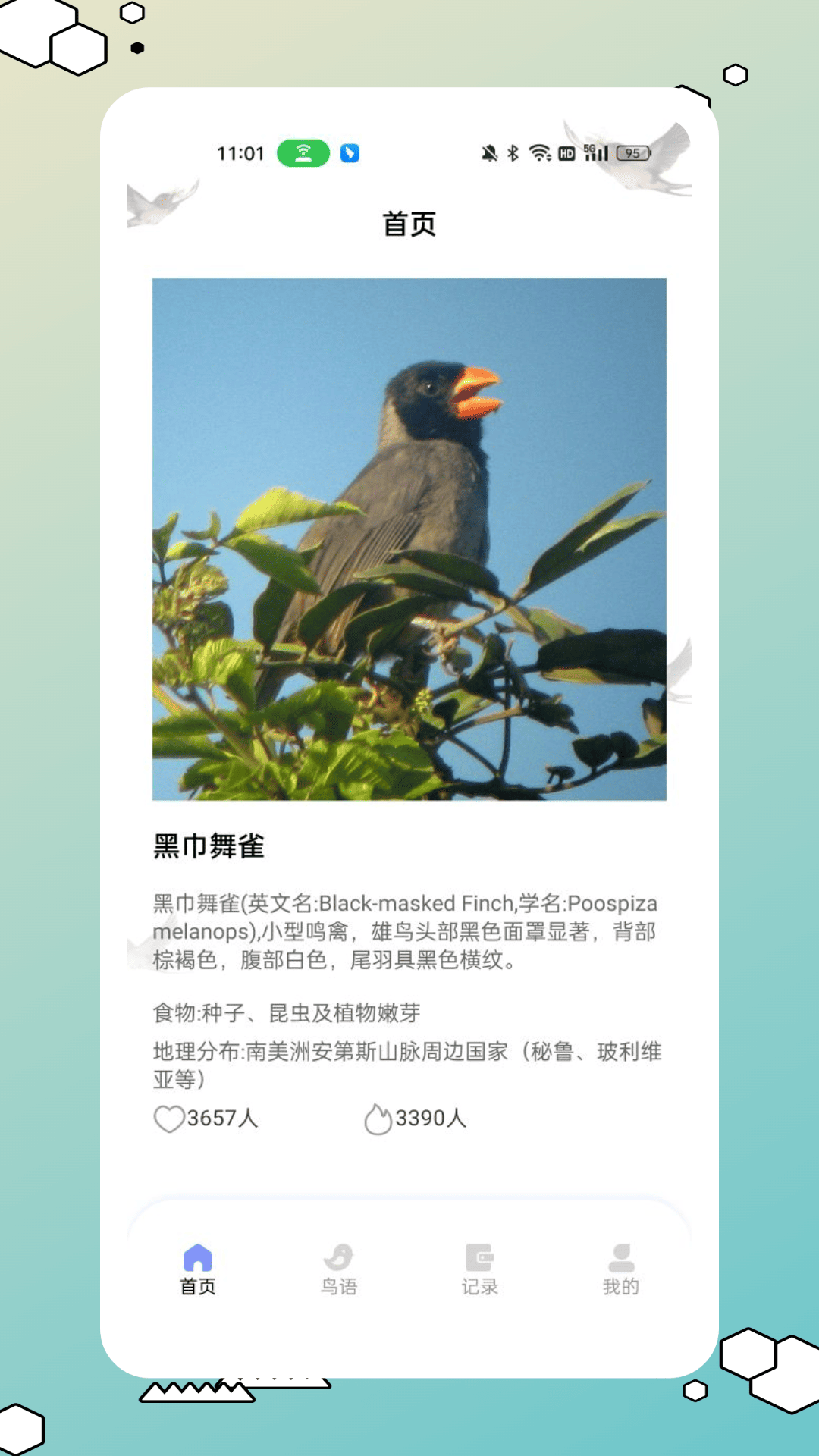鸟类百科电脑版截图