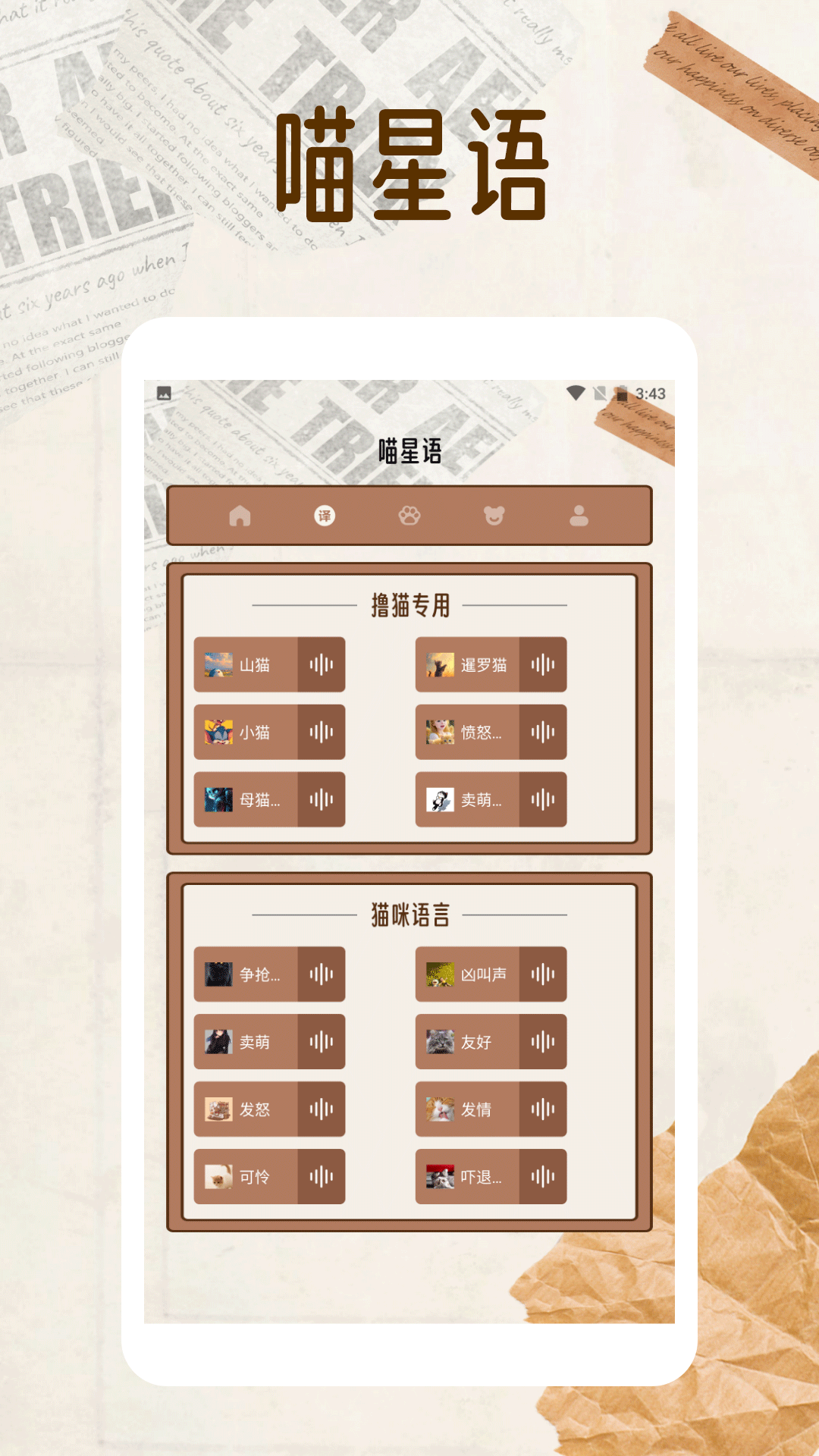 纸萌猫翻译乐园