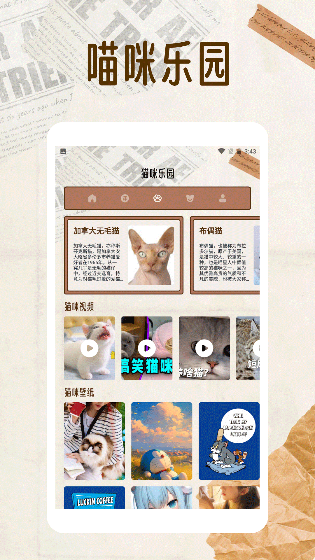 纸萌猫翻译乐园