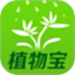植物宝