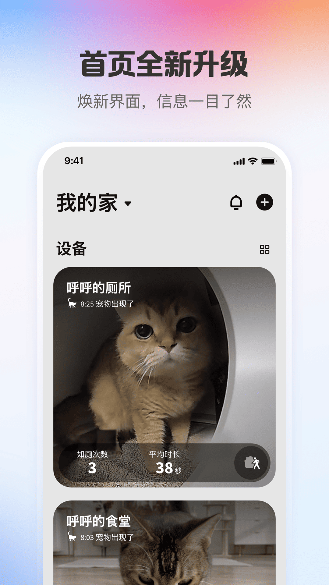 小佩宠物