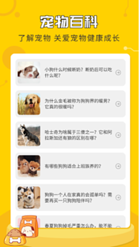 人狗翻译神器电脑版截图2