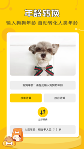 人狗翻译神器电脑版截图3
