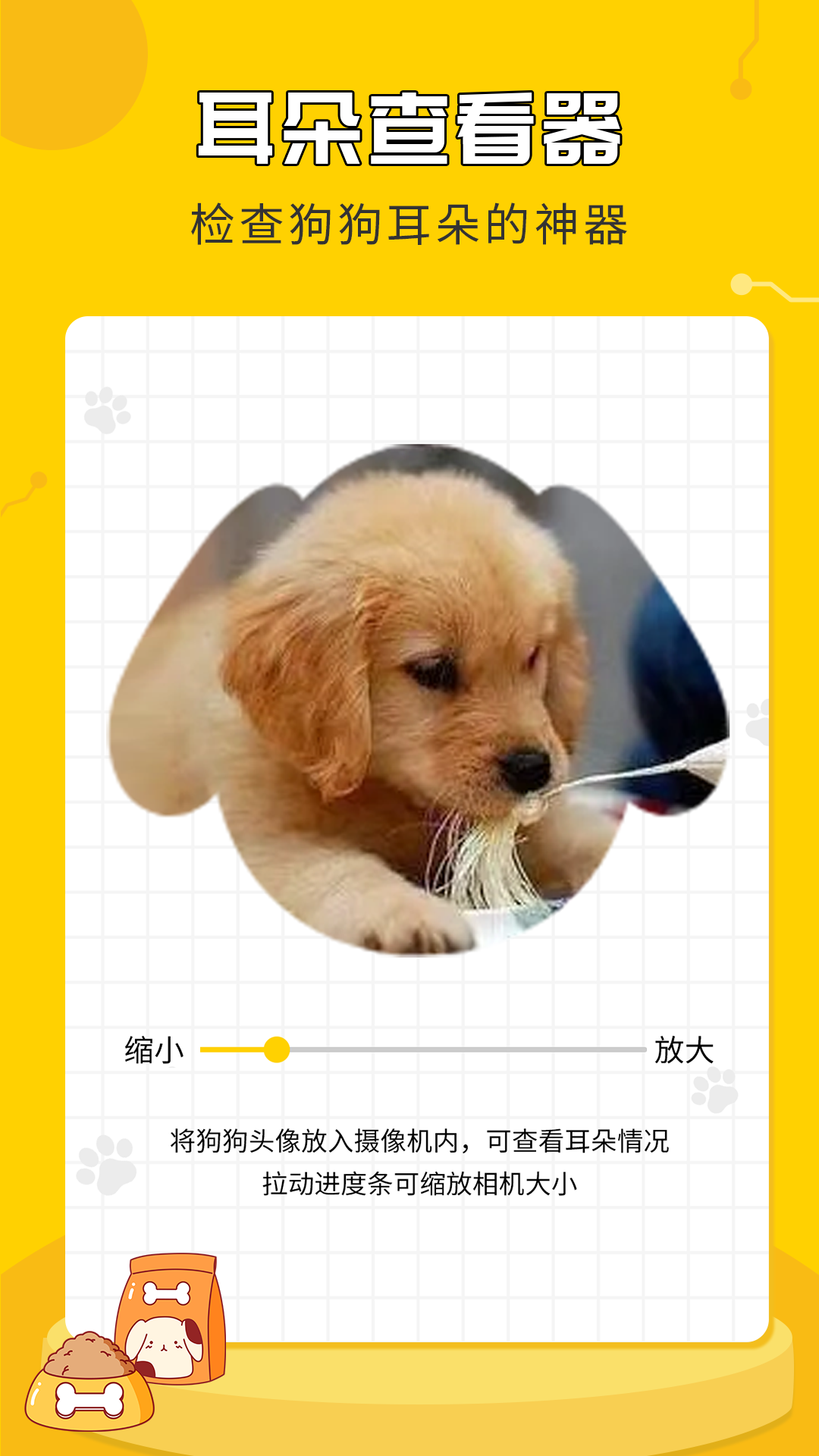 人狗翻译神器