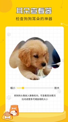 人狗翻译神器电脑版截图4