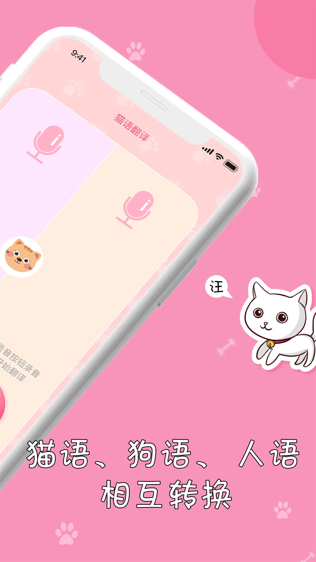 小猫