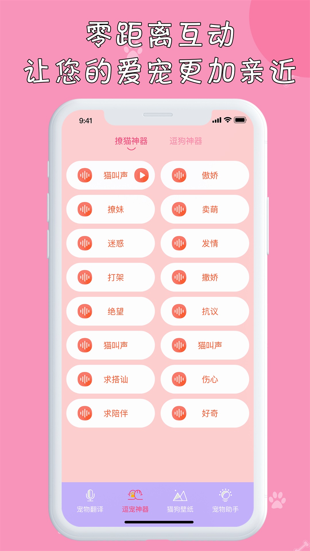 小猫