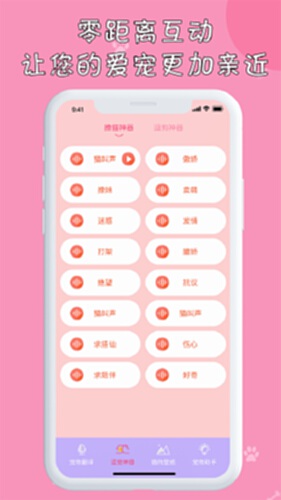 小猫电脑版截图2