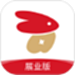 野兔伙伴