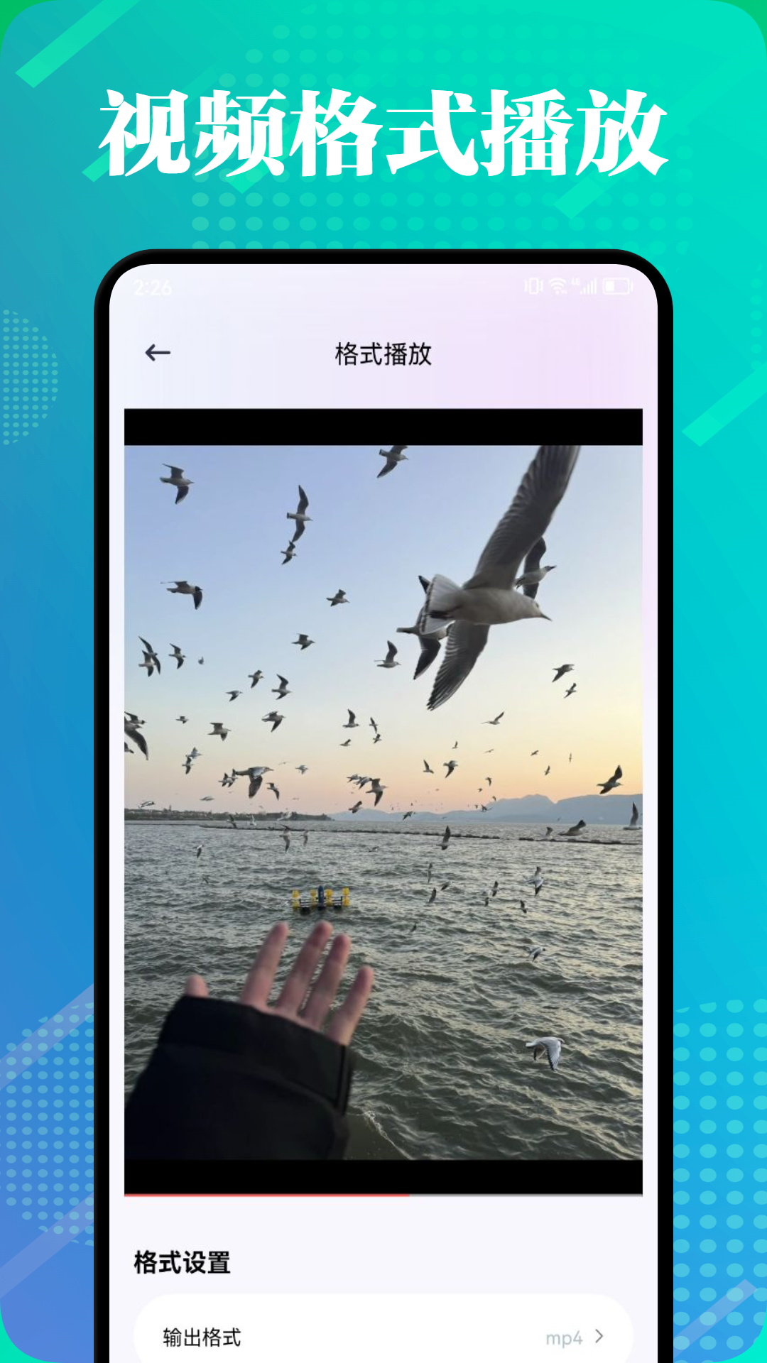 野马视频