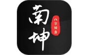 南坤八字排盘电脑版段首LOGO