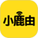 小鹿由