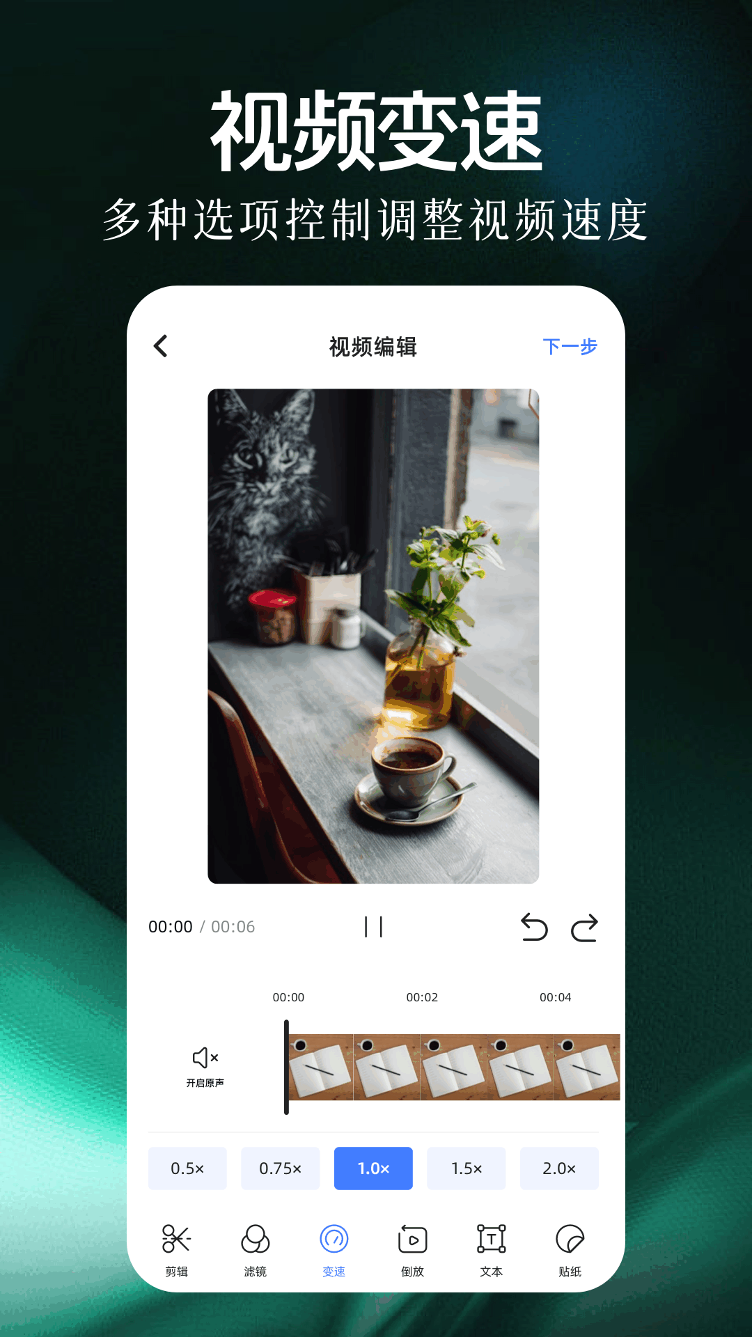 南枫视频电脑版截图