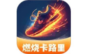 燃烧卡路里电脑版段首LOGO