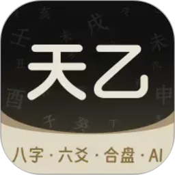 天乙八字排盘电脑版1.1.01
