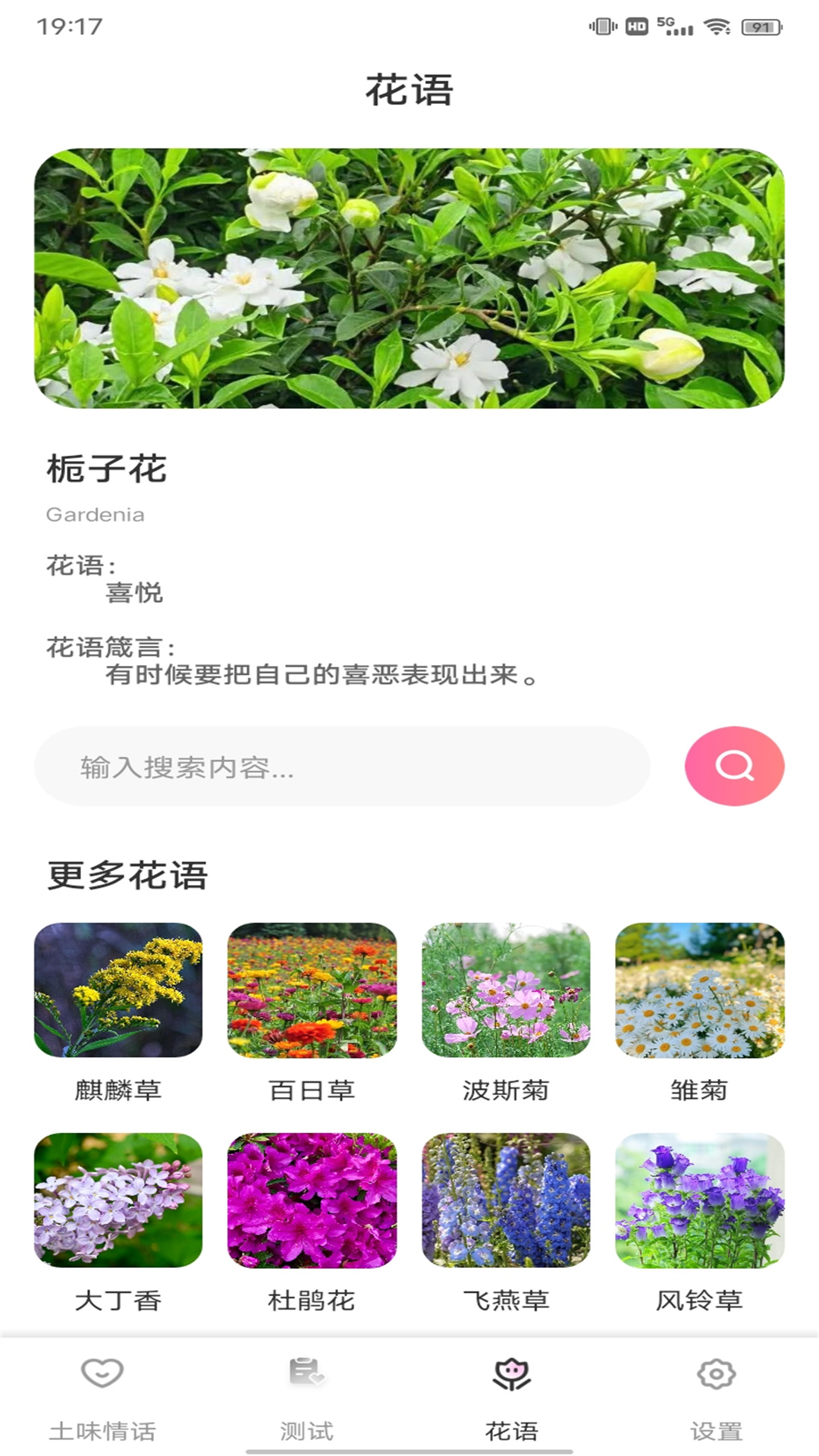 小蓝鸟