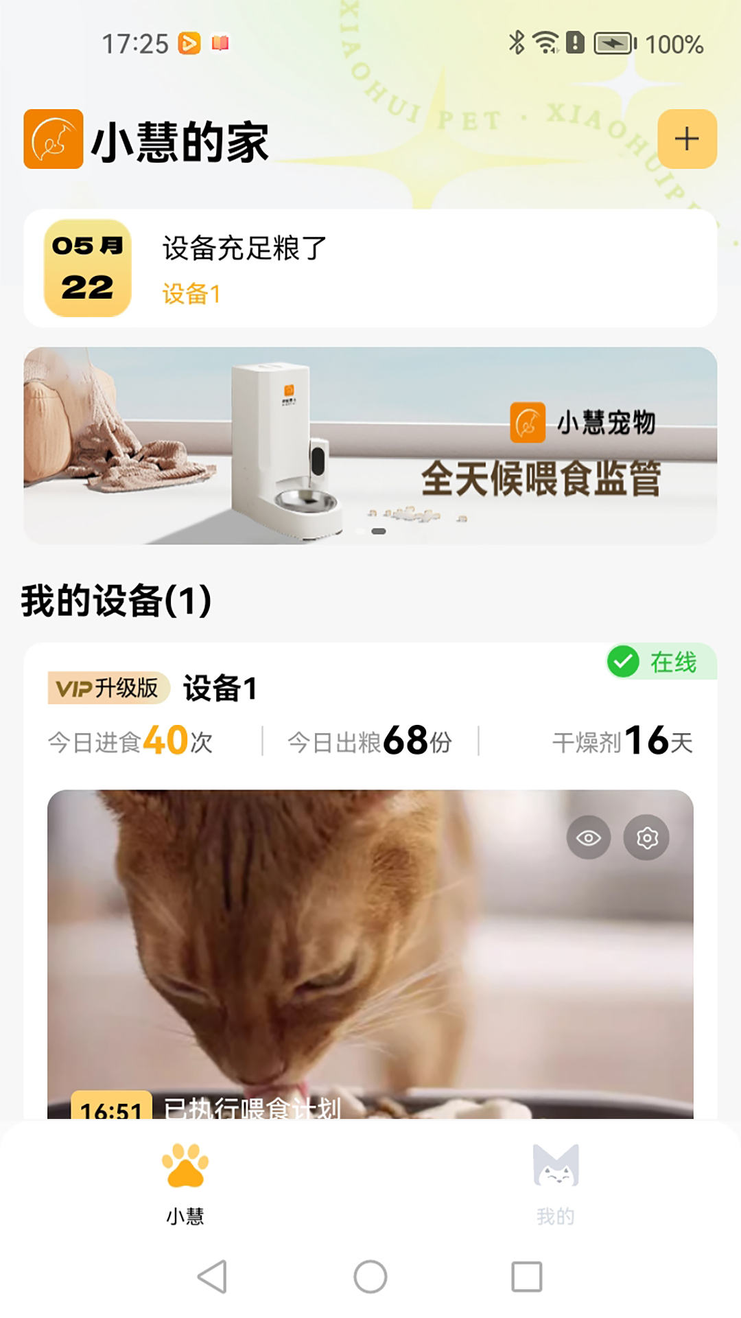 小慧宠物电脑版截图