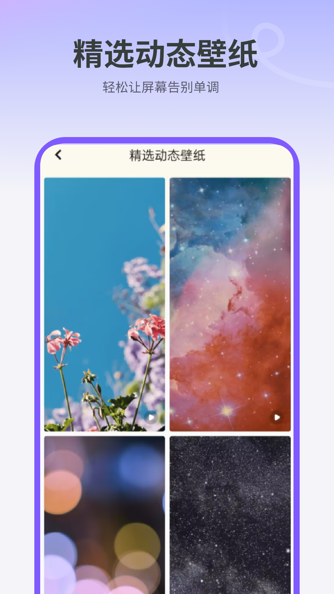 天天屏保电脑版截图
