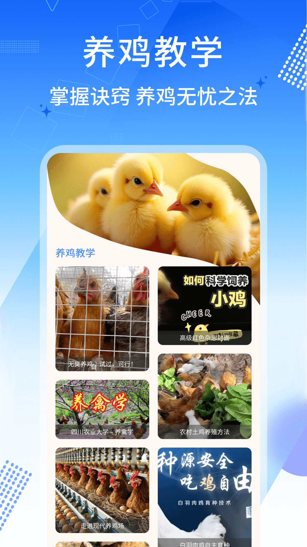 养鸡宝