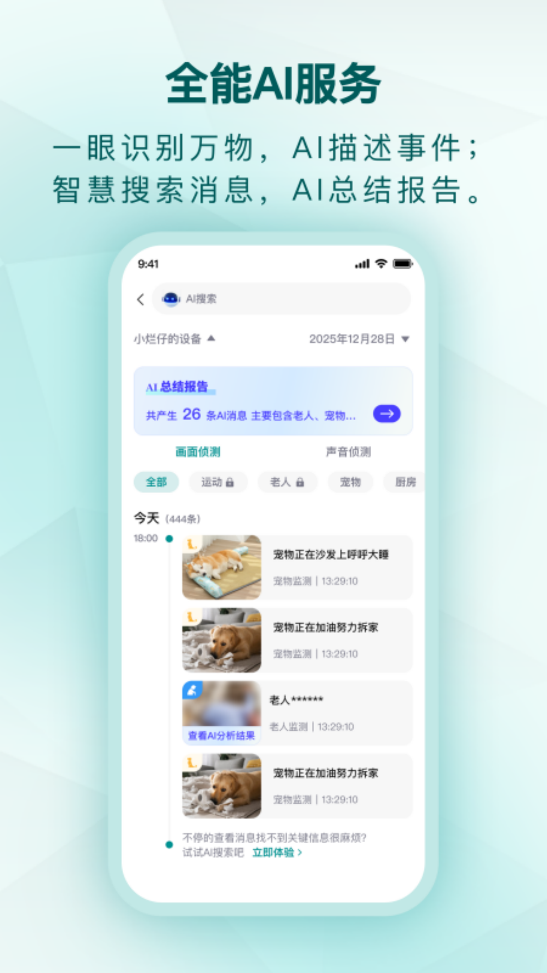 小鹤看家