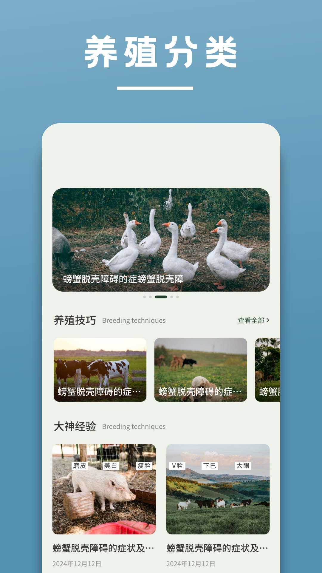 阳光养猪场电脑版截图