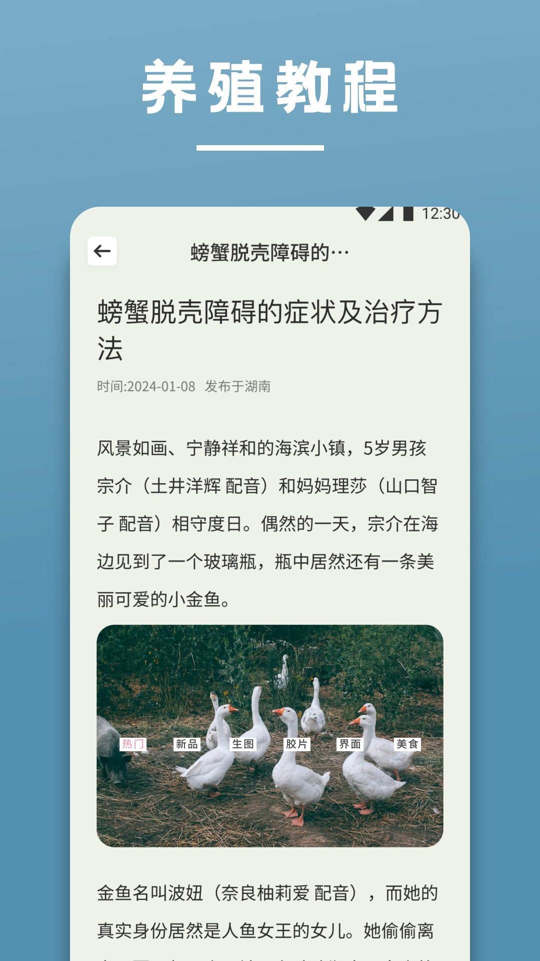 阳光养猪场电脑版截图