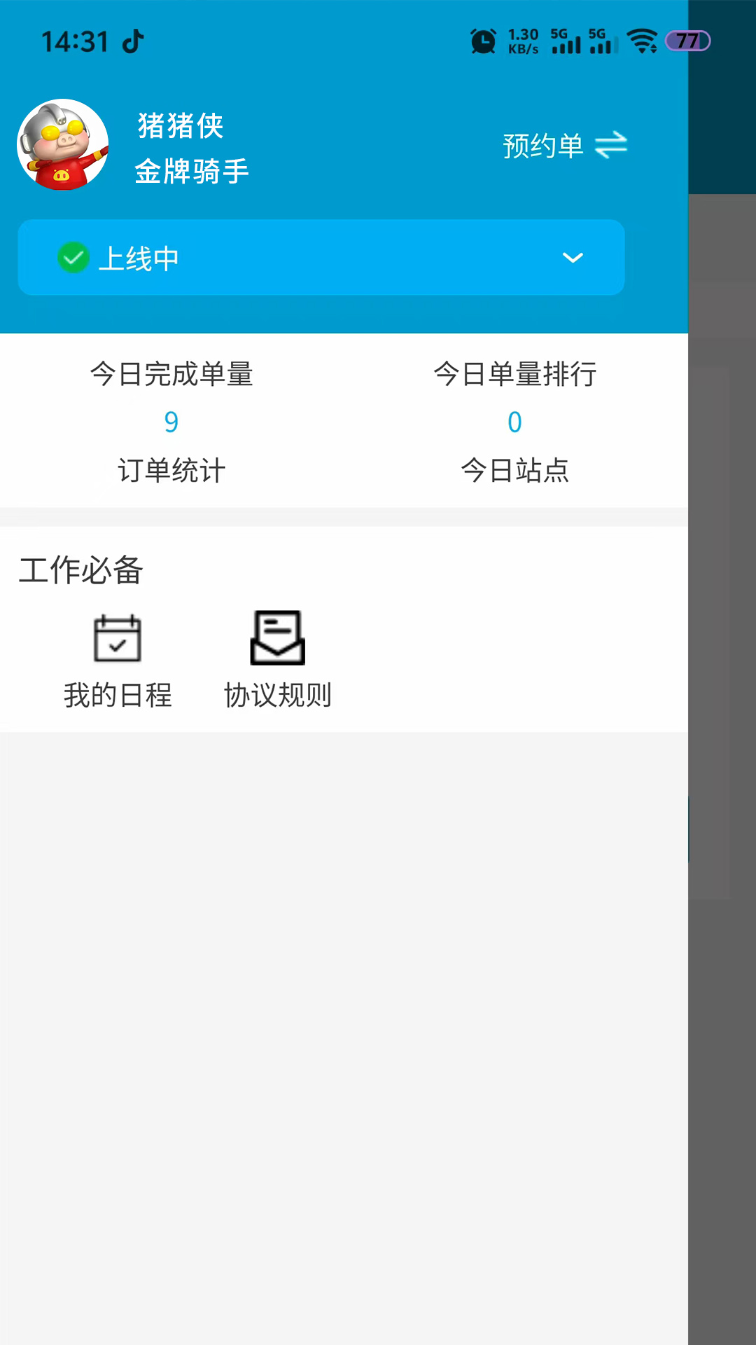 阳光骑手