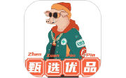 甄选优品电脑版段首LOGO