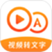 视频转文字大师