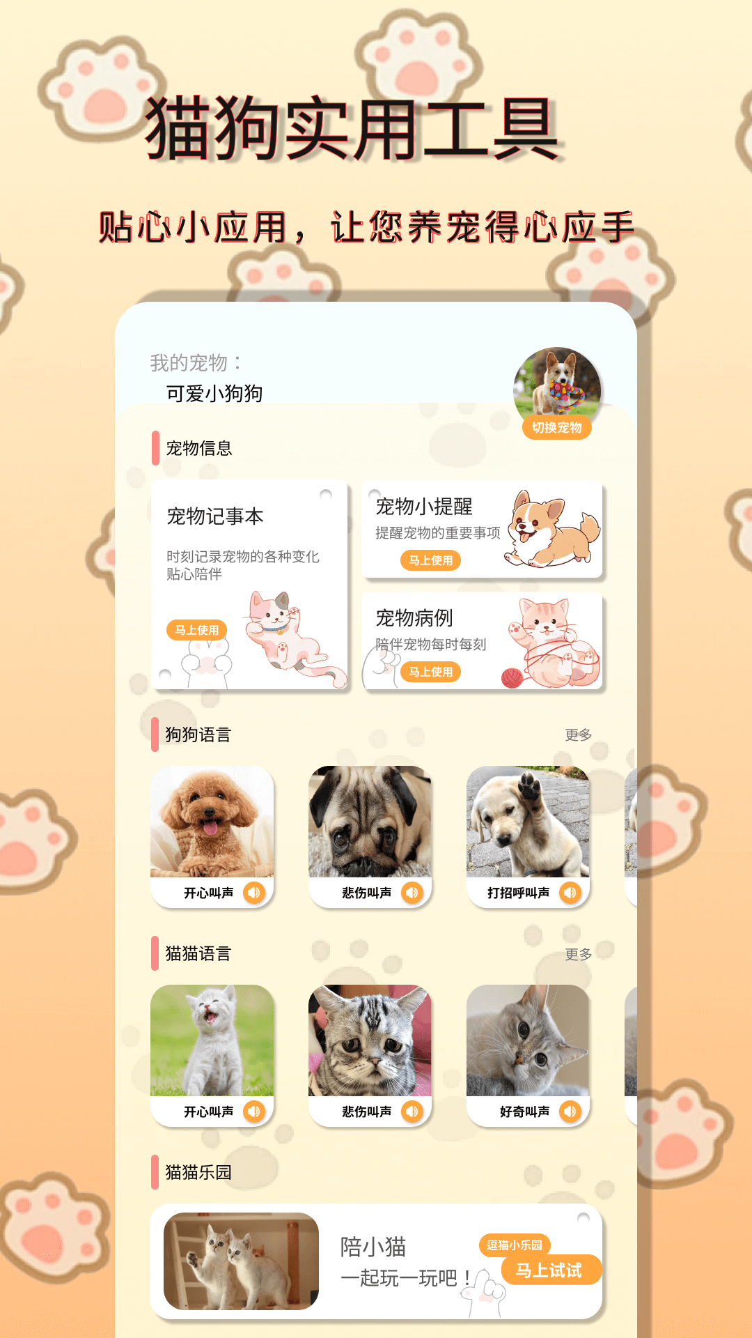 小动物之星