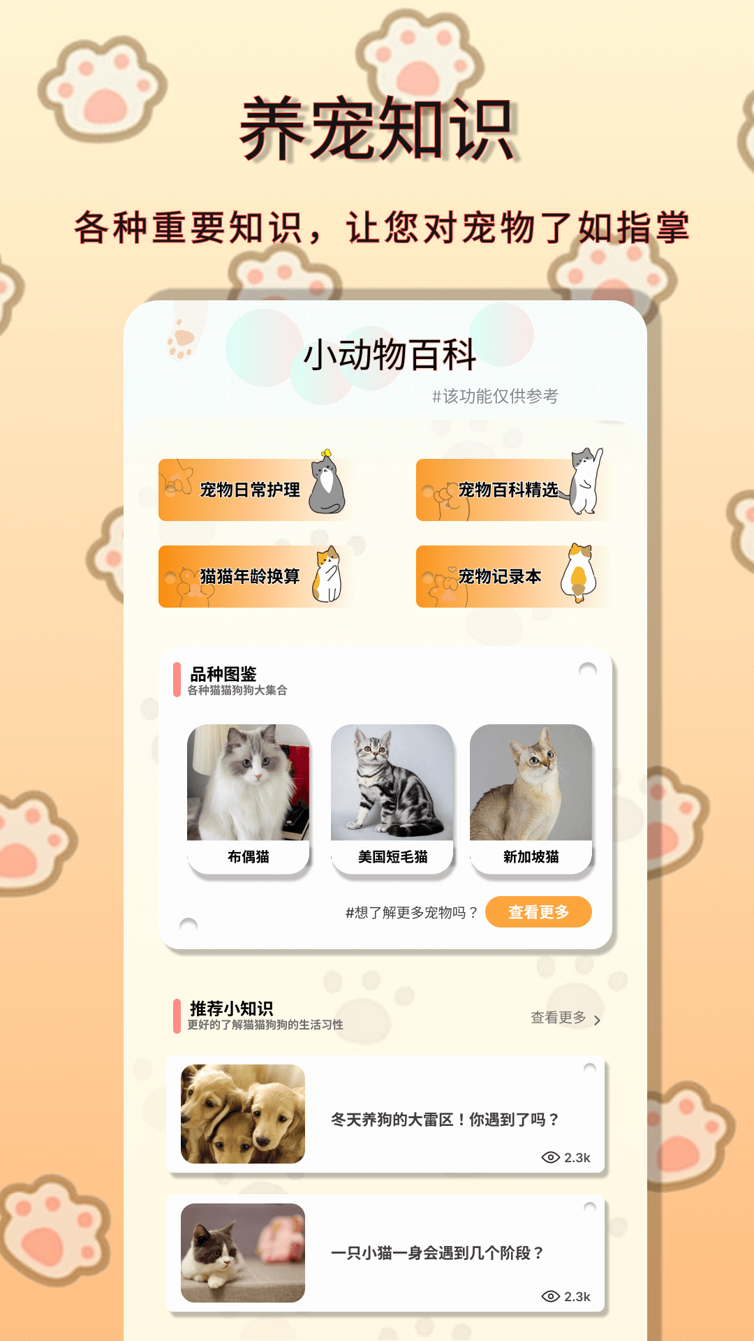 小动物之星