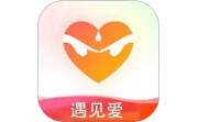 遇见爱电脑版段首LOGO