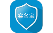 实名宝电脑版段首LOGO