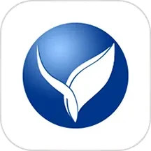 掌上依兰电脑版