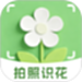 识花xFlower植物