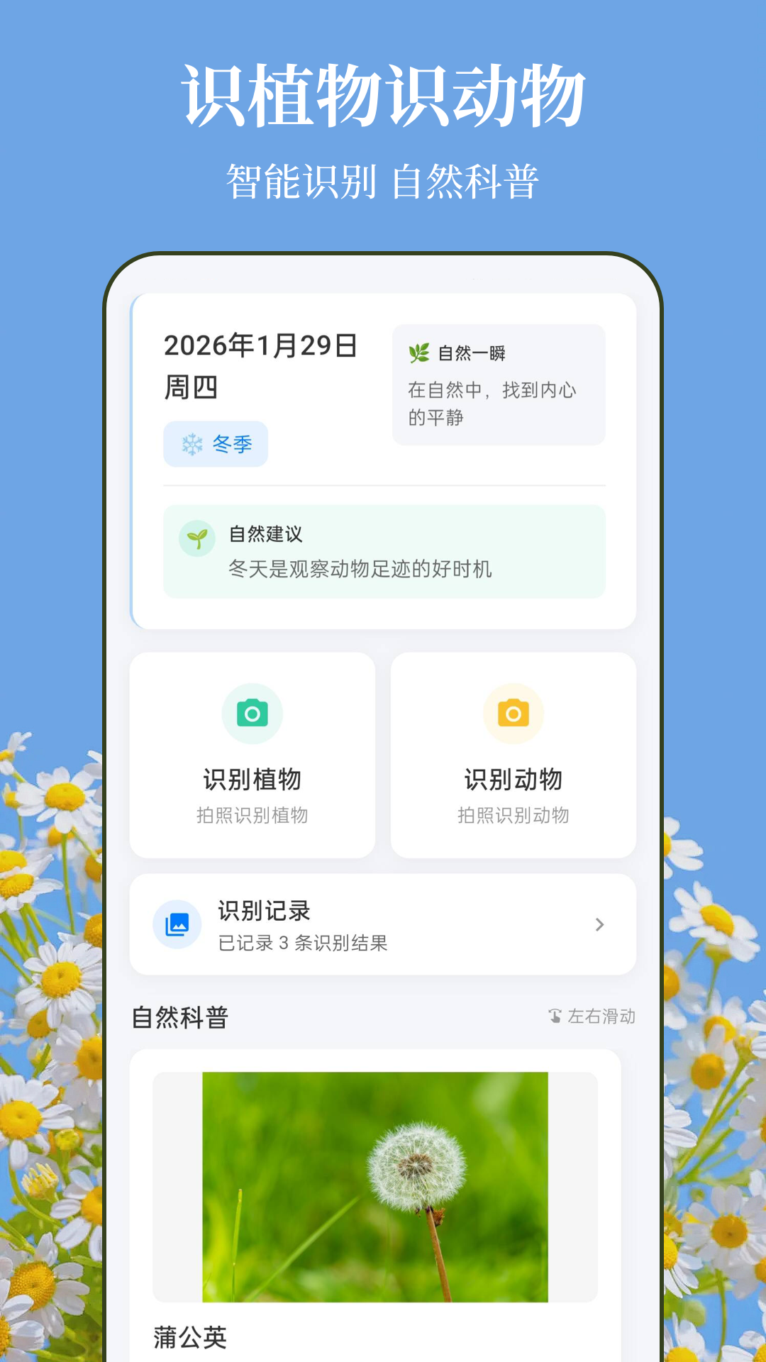 识花xFlower植物