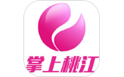 掌上桃江电脑版段首LOGO