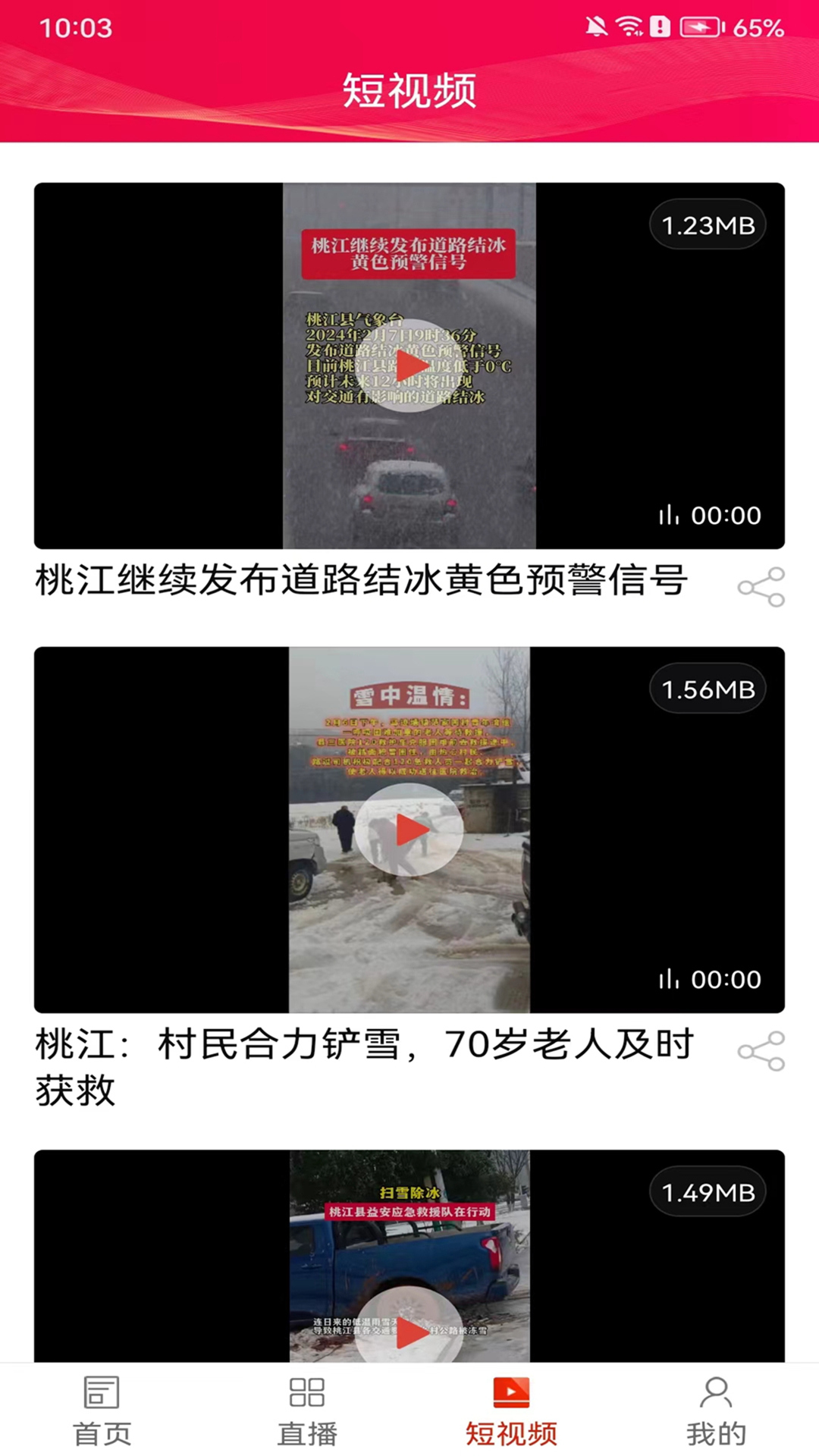 掌上桃江