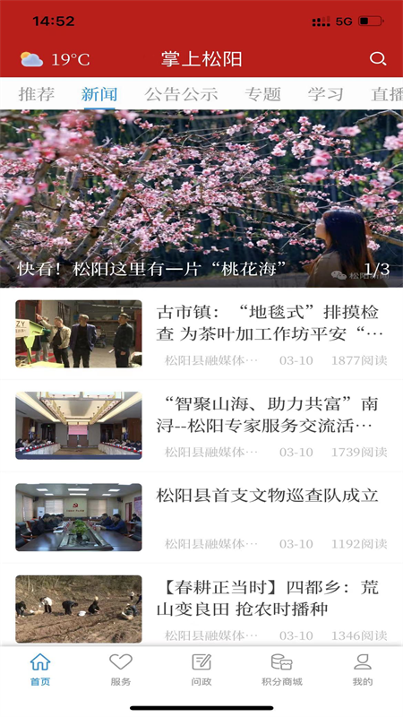 掌上松阳