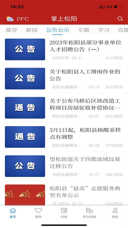 掌上松阳