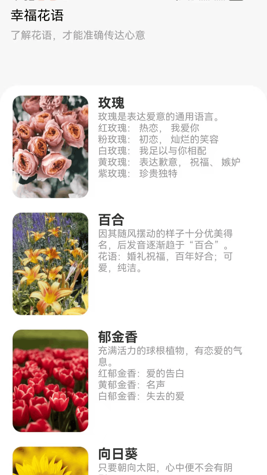 雨露悦看