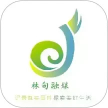 掌上林甸电脑版