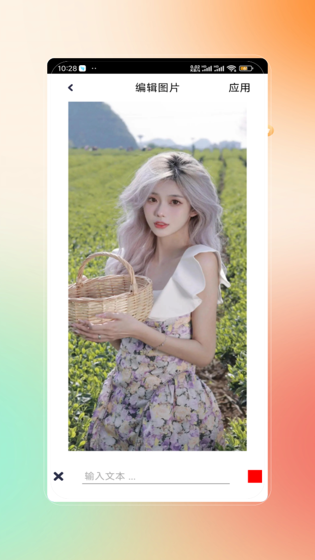 文字图电脑版截图