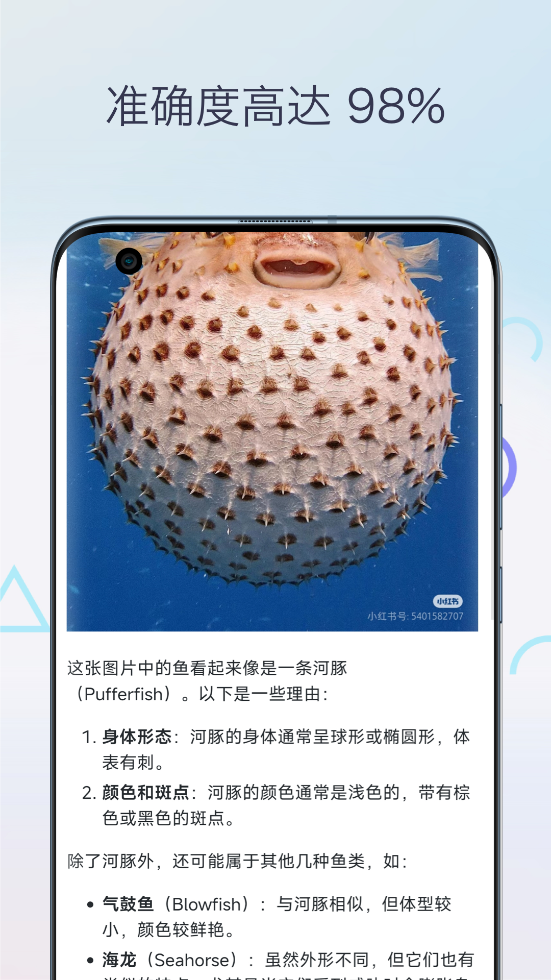 鱼类识别