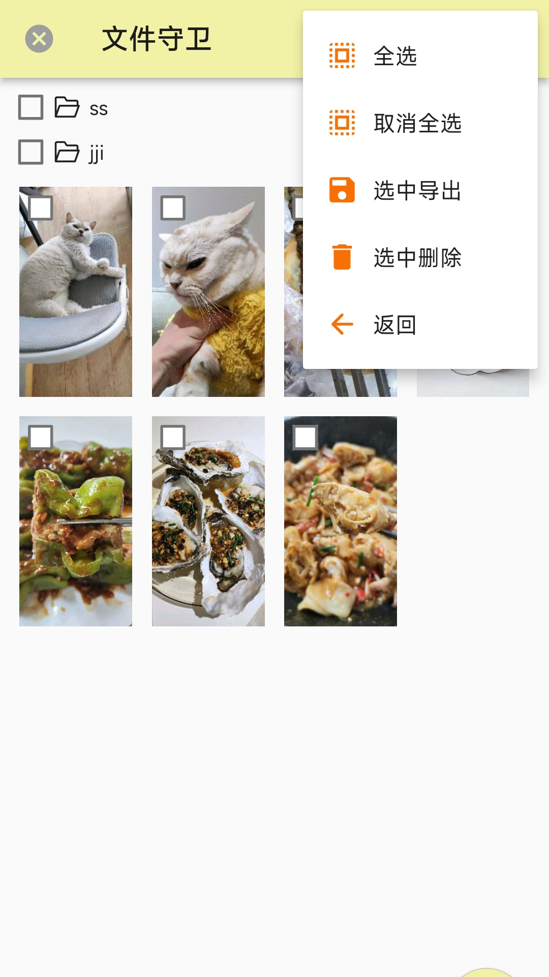 文件守卫