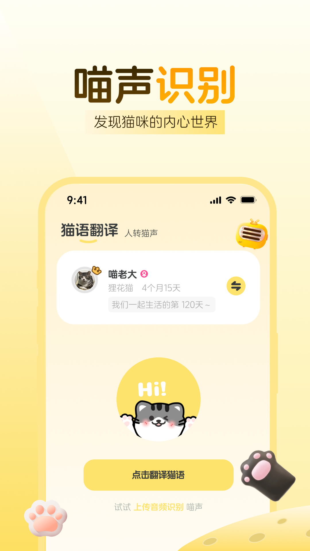 免费猫语翻译电脑版截图